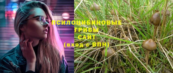 кристаллы Корсаков