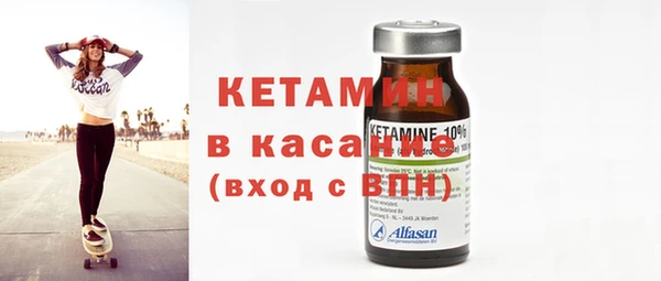 крисы Коряжма