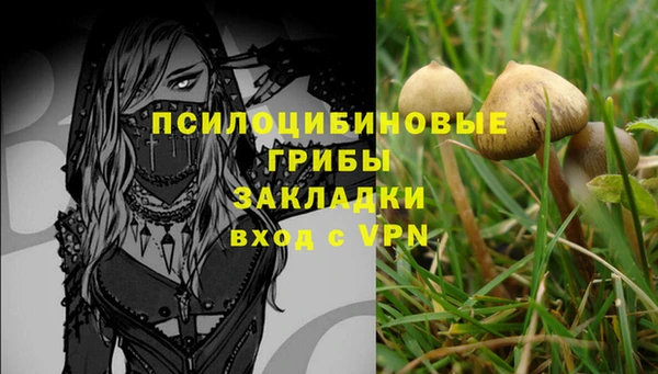 мяу мяу мука Краснослободск