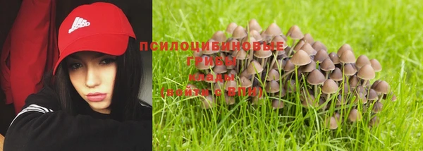 крисы Коряжма